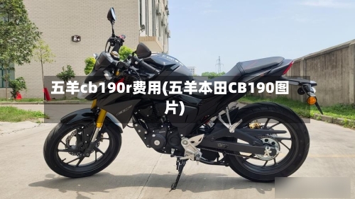 五羊cb190r费用(五羊本田CB190图片)
