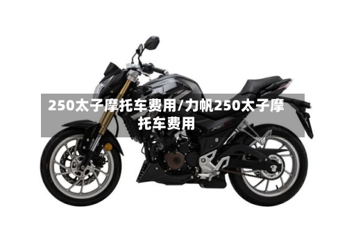 250太子摩托车费用/力帆250太子摩托车费用-第2张图片