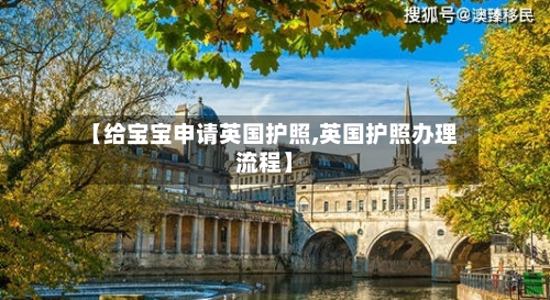【给宝宝申请英国护照,英国护照办理流程】
