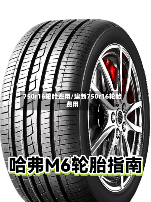 750r16轮胎费用/建新750r16轮胎费用