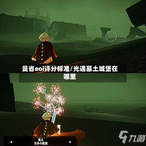 曼省eoi评分标准/光遇墓土城堡在哪里-第3张图片