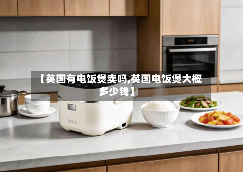 【英国有电饭煲卖吗,英国电饭煲大概多少钱】