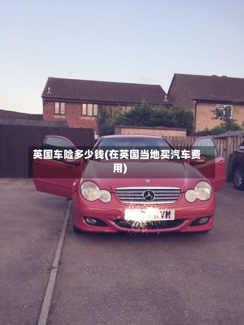 英国车险多少钱(在英国当地买汽车费用)-第2张图片