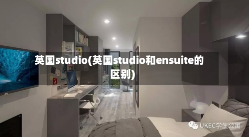 英国studio(英国studio和ensuite的区别)-第2张图片