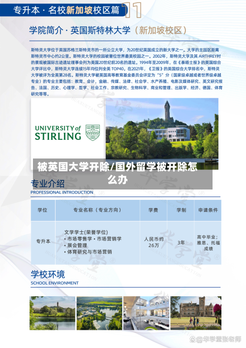 被英国大学开除/国外留学被开除怎么办