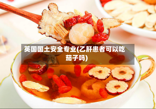 英国国土安全专业(乙肝患者可以吃茄子吗)-第2张图片