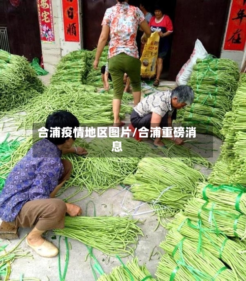 合浦疫情地区图片/合浦重磅消息-第3张图片