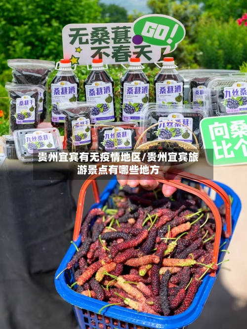 贵州宜宾有无疫情地区/贵州宜宾旅游景点有哪些地方