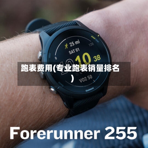 跑表费用(专业跑表销量排名)-第2张图片