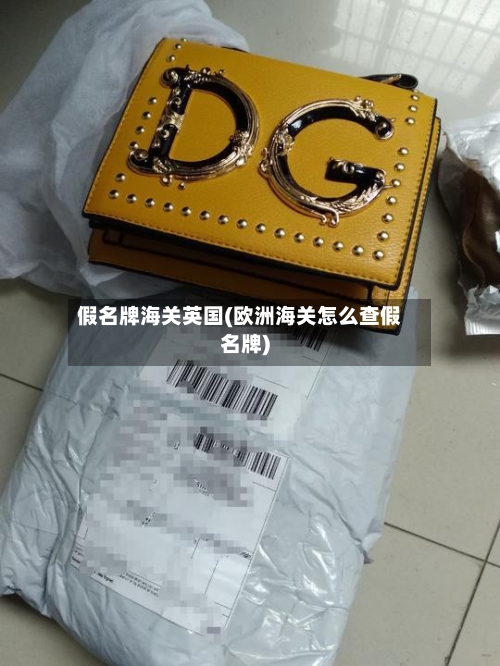 假名牌海关英国(欧洲海关怎么查假名牌)-第2张图片