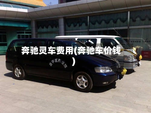 奔驰灵车费用(奔驰车价钱)-第2张图片