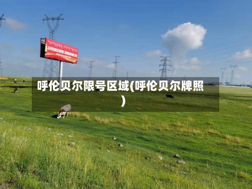 呼伦贝尔限号区域(呼伦贝尔牌照)
