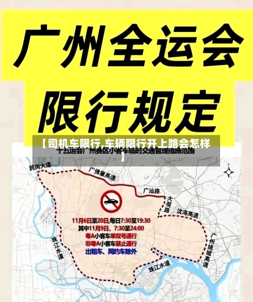 【司机车限行,车辆限行开上路会怎样】-第2张图片