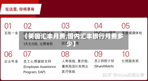 【英国汇丰月费,国内汇丰银行月费多少】