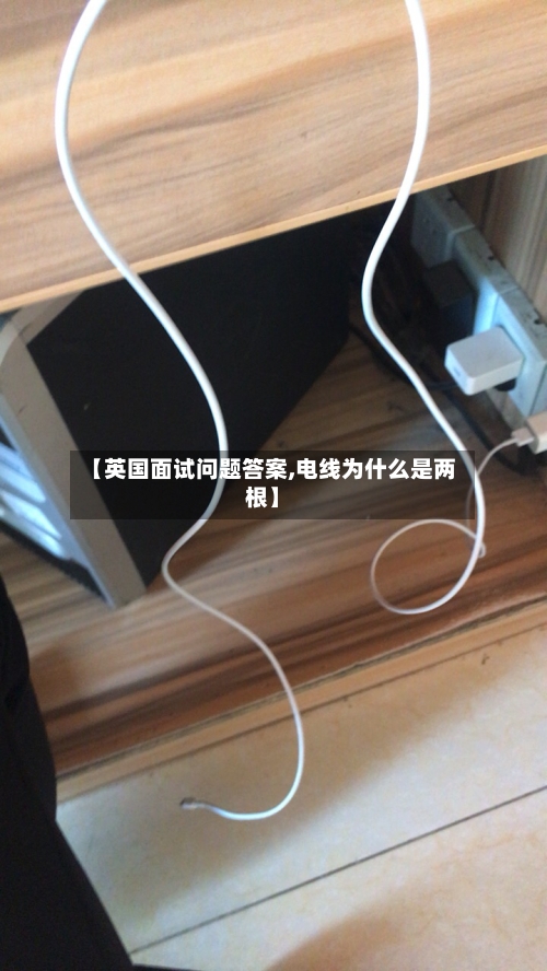 【英国面试问题答案,电线为什么是两根】