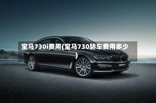 宝马730i费用(宝马730轿车费用多少)-第2张图片