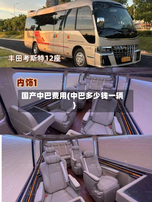 国产中巴费用(中巴多少钱一辆)-第3张图片