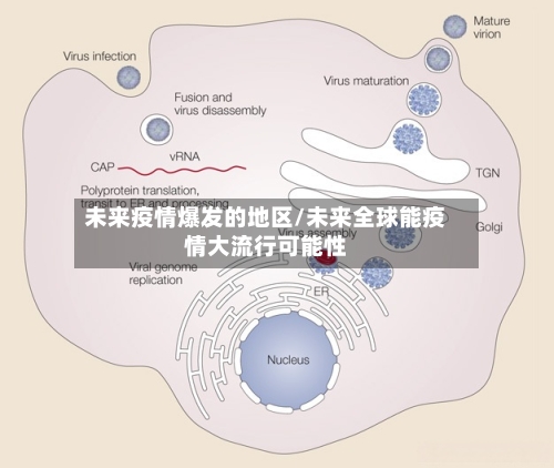 未来疫情爆发的地区/未来全球能疫情大流行可能性-第2张图片
