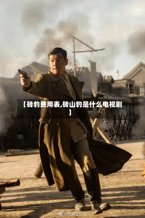 【砖豹费用表,砖山豹是什么电视剧】