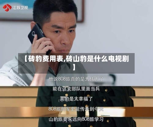 【砖豹费用表,砖山豹是什么电视剧】-第2张图片