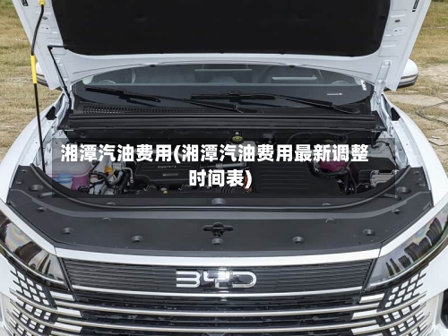 湘潭汽油费用(湘潭汽油费用最新调整时间表)