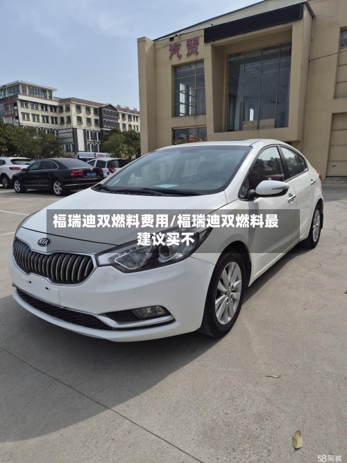 福瑞迪双燃料费用/福瑞迪双燃料最建议买不-第3张图片