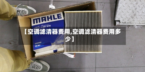 【空调滤清器费用,空调滤清器费用多少】-第2张图片