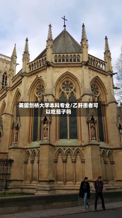 英国剑桥大学本科专业/乙肝患者可以吃茄子吗-第2张图片