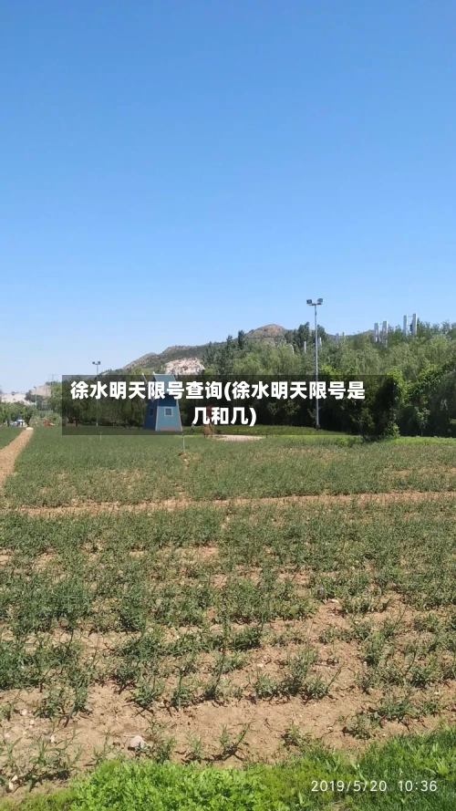 徐水明天限号查询(徐水明天限号是几和几)