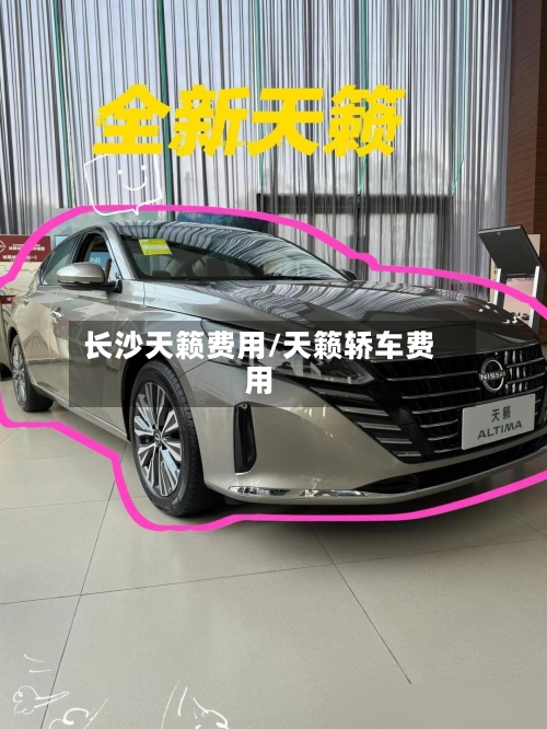 长沙天籁费用/天籁轿车费用-第2张图片
