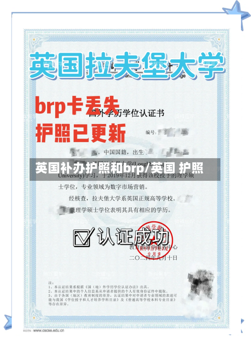 英国补办护照和brp/英国 护照-第2张图片