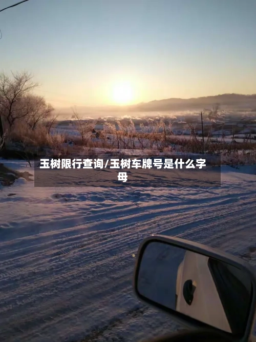 玉树限行查询/玉树车牌号是什么字母
