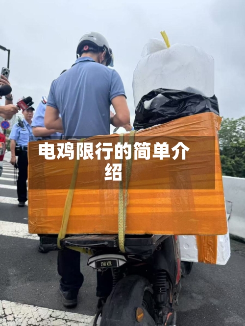 电鸡限行的简单介绍
