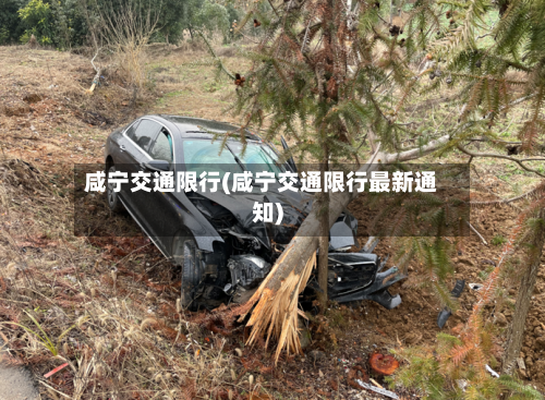 咸宁交通限行(咸宁交通限行最新通知)