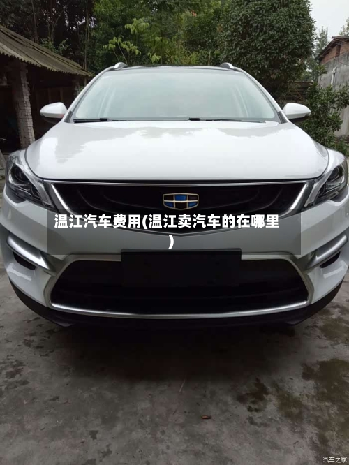 温江汽车费用(温江卖汽车的在哪里)-第2张图片