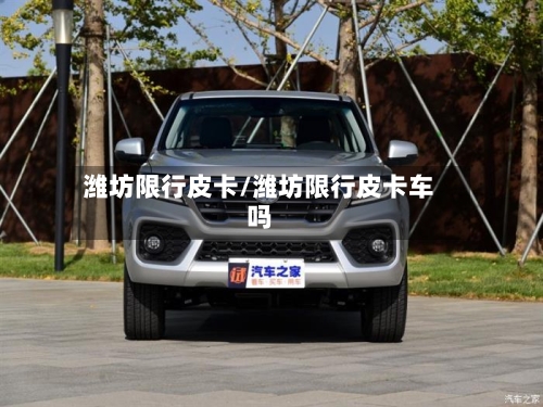 潍坊限行皮卡/潍坊限行皮卡车吗