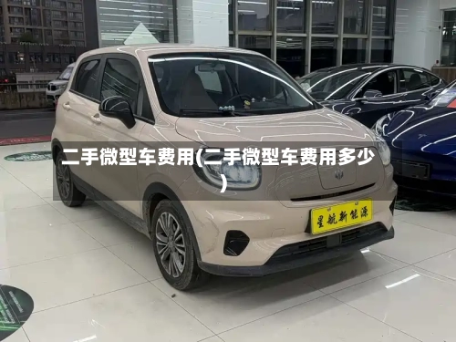 二手微型车费用(二手微型车费用多少)-第2张图片