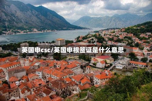英国申csc/英国申根签证是什么意思