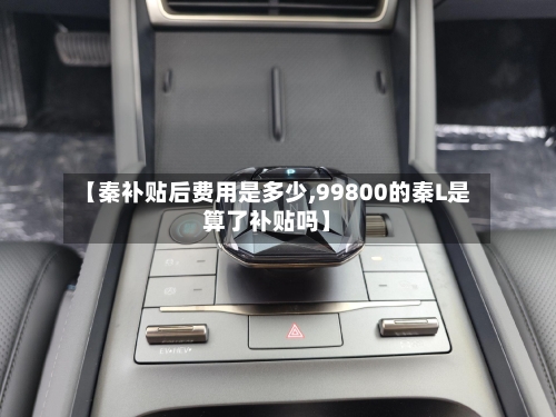 【秦补贴后费用是多少,99800的秦L是算了补贴吗】-第2张图片