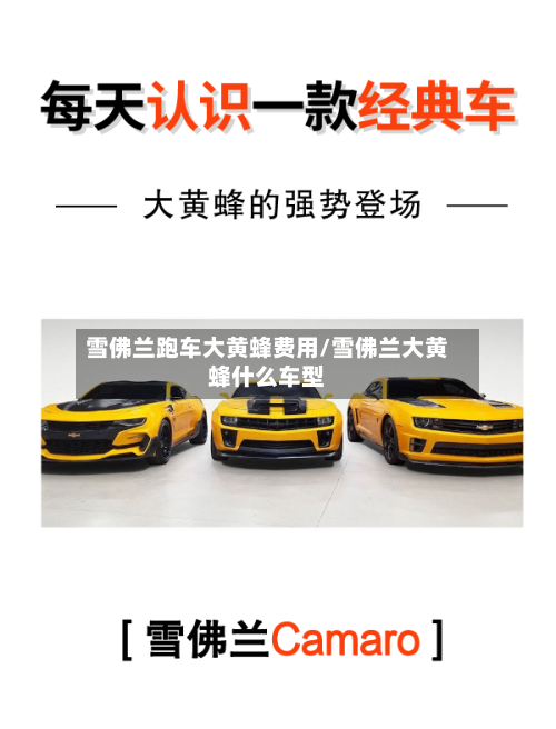 雪佛兰跑车大黄蜂费用/雪佛兰大黄蜂什么车型