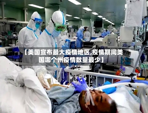 【美国宣布最大疫情地区,疫情期间美国哪个州疫情数量最少】