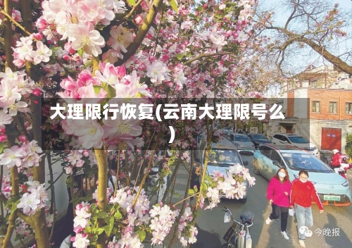 大理限行恢复(云南大理限号么)