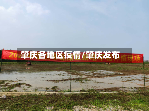 肇庆各地区疫情/肇庆发布