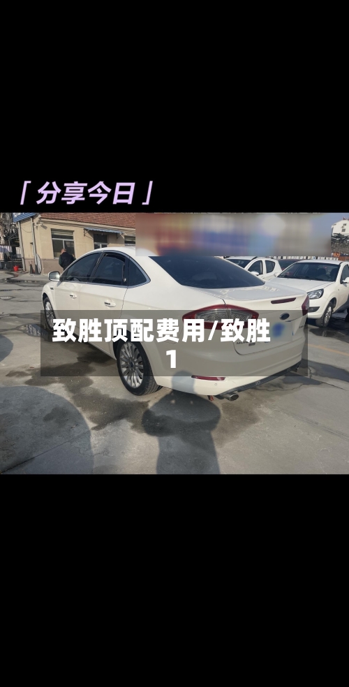 致胜顶配费用/致胜 1-第2张图片