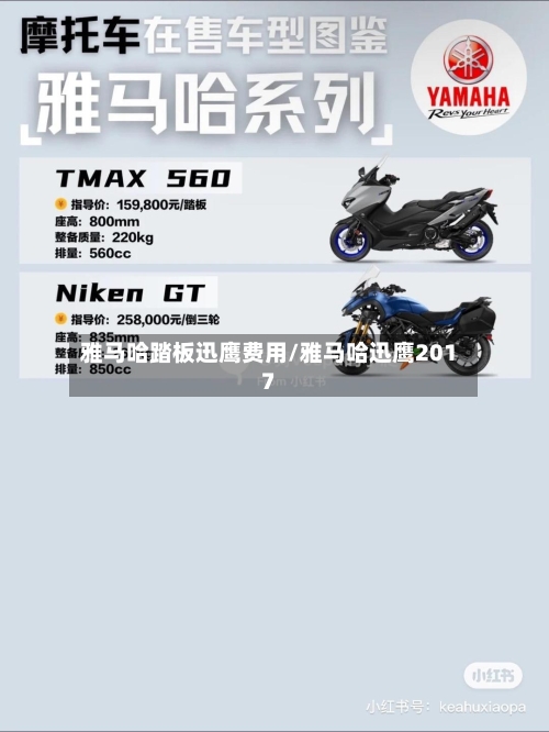 雅马哈踏板迅鹰费用/雅马哈迅鹰2017-第2张图片