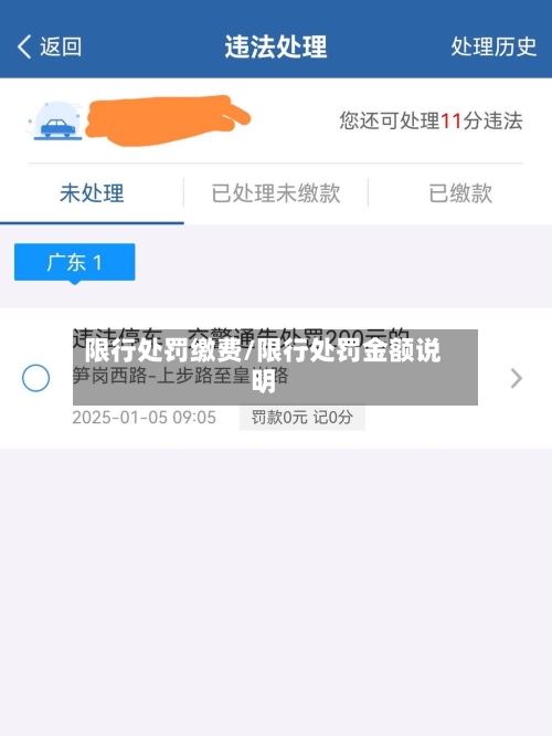 限行处罚缴费/限行处罚金额说明-第3张图片