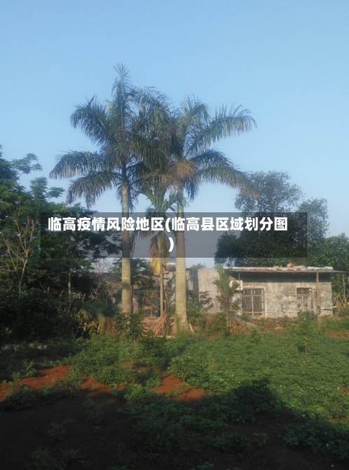 临高疫情风险地区(临高县区域划分图)-第3张图片