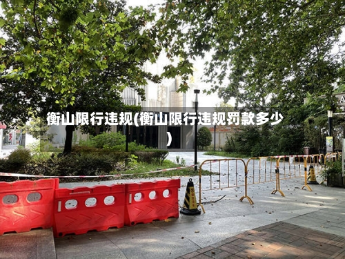 衡山限行违规(衡山限行违规罚款多少)-第3张图片