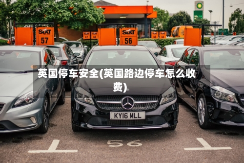 英国停车安全(英国路边停车怎么收费)-第3张图片