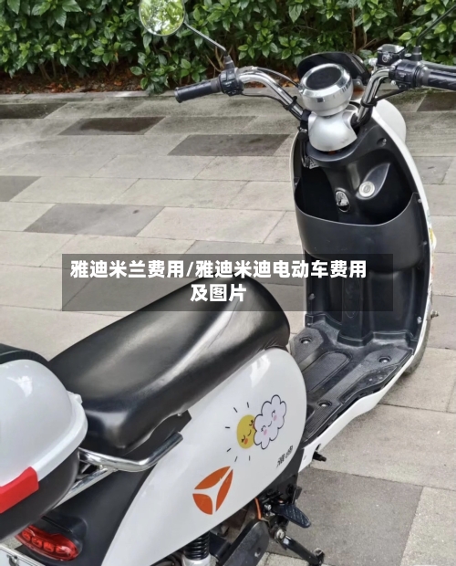 雅迪米兰费用/雅迪米迪电动车费用及图片-第2张图片